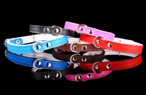 Obroża Dla Psa Ze Skóry Naturalnej ZOO LESZCZ (PL) 8 mm 21-26 [cm] ZL150