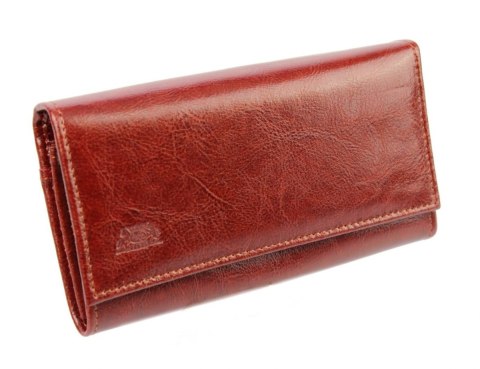 Portfel Damski ELKOR (PL) Długi Klamra Skóra Naturalna EL016B 17 x 9,5 x 2,5 [cm]