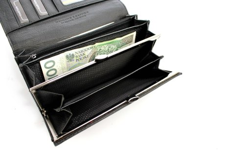 Portfel Damski Skórzany Lakierowany Jennifer Jones Długi Max Z Klamrą 5289-2 18,5 x 9,5 x 3 [cm]