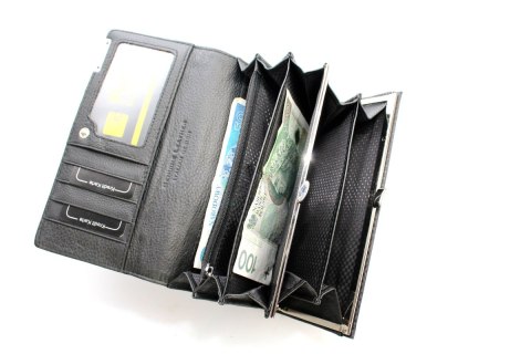 Portfel Damski Skórzany Lakierowany Jennifer Jones Długi Max Z Klamrą 5289-2 18,5 x 9,5 x 3 [cm]