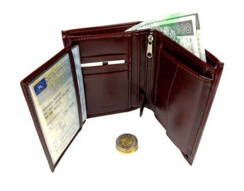 Portfel Męski ANDRUS (PL) Skóra Włoska Duży Pionowy Bez Zapięcia Jedno Skrzydełko 13 x 10 x 2,5 [cm]