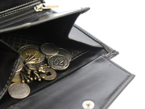 Portfel Męski ANDRUS (PL) Skóra Włoska Duży Pionowy Bez Zapięcia Jedno Skrzydełko 13 x 10 x 2,5 [cm]