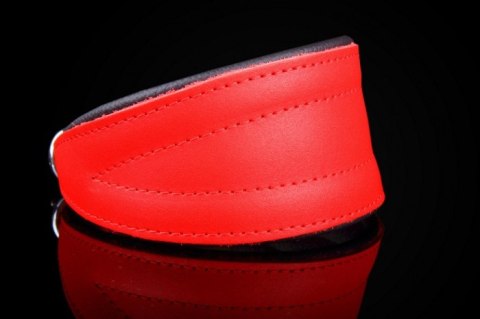 Regulowana Obroża Dla Charta Ze Skóry Naturalnej ZOO LESZCZ (PL) 43-50 [cm] ZLCH/503