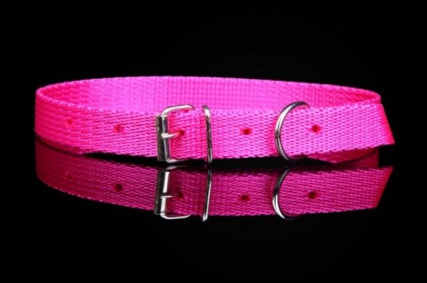 Solidna Obroża Dla Psa Taśma ZOO LESZCZ (PL)16 mm 38-45 [cm] ZL070