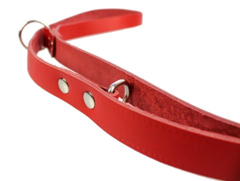 Solidna Smycz Ze Skóry Naturalnej Taśma Dla Psa ZOO LESZCZ (PL) 16 mm 220 [cm] ZL132