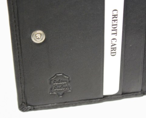 Portfel ALBATROSS (PL) Skóra Naturalna Licowa Mały Pionowy KOMIN PIEKIEŁKO RFID SN A3822 L 9 x 10 x 1,5 [cm]