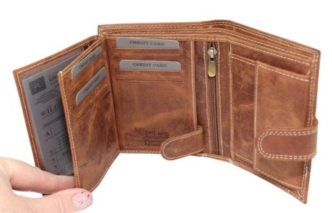 Portfel Męski Skórzany ALWAYS WILD Skóra Licowa Duży Pionowy Z Zapięciem RIFD N4L-CHM 13 x 10 x 2 [cm]