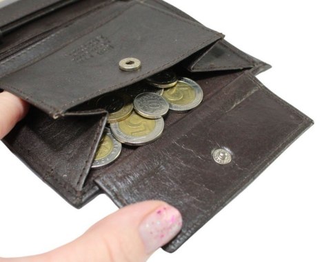 Portfel Męski Skórzany WILD Skóra Licowa Duży Pionowy Bez Zapięcia N4-P 7834 13 x 10 x 2,5 [cm]