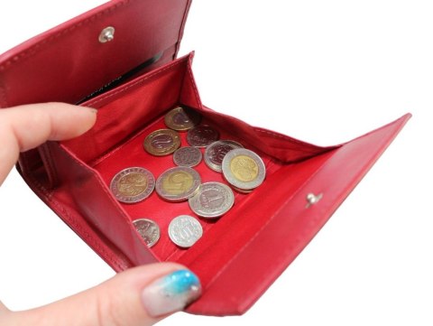 Praktyczny Portfel Uniwersalny Jennifer Jones KOMINEK Na Bilon 5834 Skóra Licowa Super Wygodny 11 x 9,5 x 2 [cm]