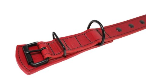 Solidna Obroża Dla Psa Czerwona z Dżetami Czarna Nitka Skóra Naturalna 30 mm 41/51 cm WIREX (PL) Solidna Obroża Dla Psa Czerwona z Dżetami Czarna Nitka Skóra Naturalna 30 mm 41/51 cm WIREX (PL)