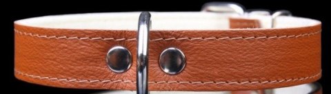 Solidna Obroża Dla Psa Skóra Naturalna 32-39 [cm] ZOO LESZCZ (PL) ZL0153