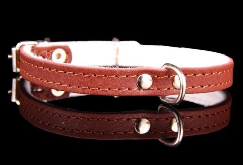 Solidna Obroża Dla Psa Skóra Naturalna 34  / 43 cm ZL0154 ZOO LESZCZ (PL)