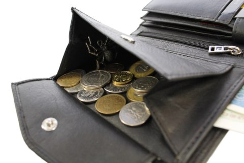 Portfel Męski Skórzany PIERRE CARDIN Skóra Licowa Duży Pionowy Bez Zapięcia Dwa Skrzydełka Z Zapinką Wewnątrz RFID TILAK15-326