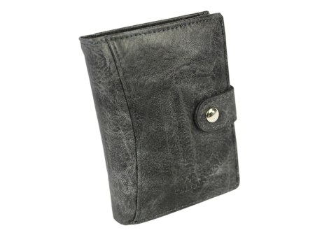 Portfel Męski WILD E-skóra Duży Pionowy Z Zapięciem WI1141-1 12,5 x 9,5 x 2 [cm]